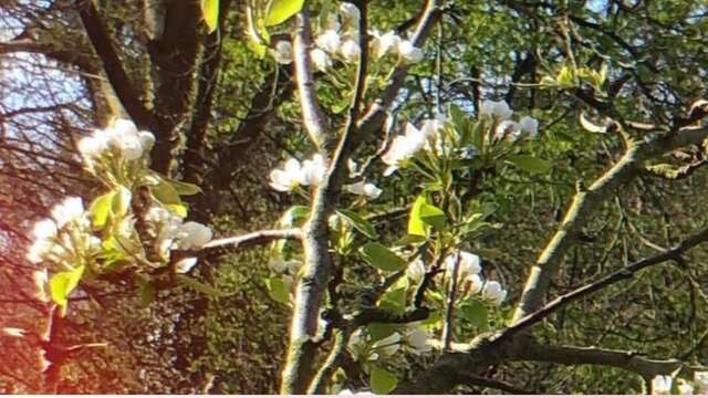 Spring is possible
