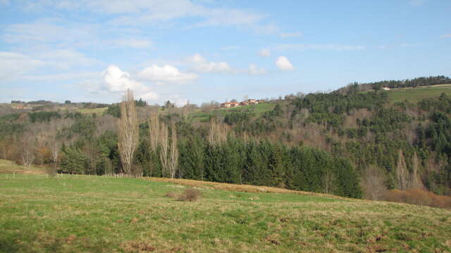 Le sentier des Babets