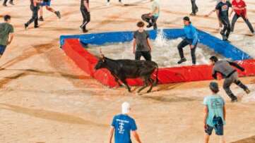 Feria - Toro-piscine «Interbandes»