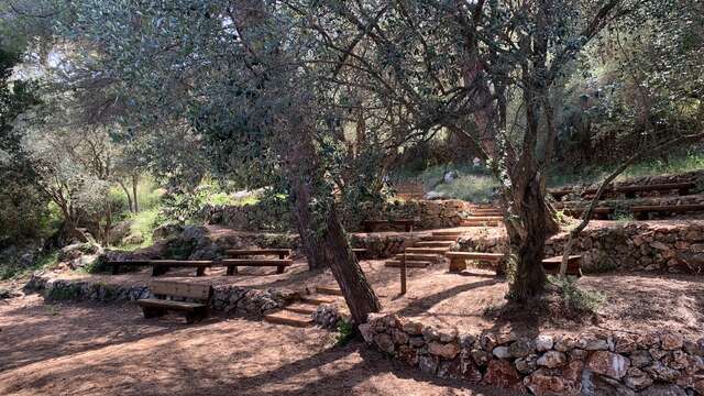 Parc foret de Grima