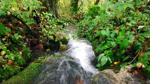 En descendant le ruisseau