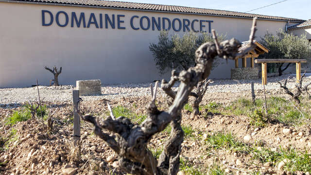 Oenotourisme au Domaine Condorcet