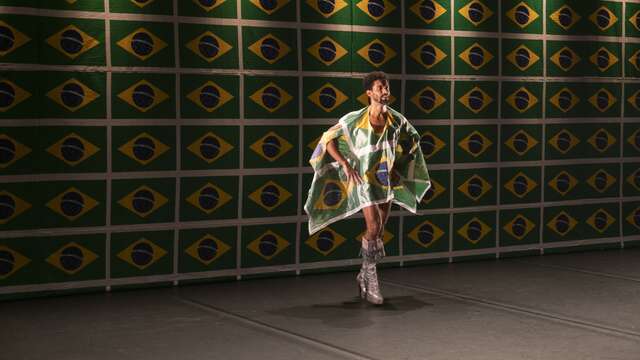 Festival - International choreographic meetings of Seine-Saint-Denis - Calixto Neto "O samba do Crioulo Doido"
