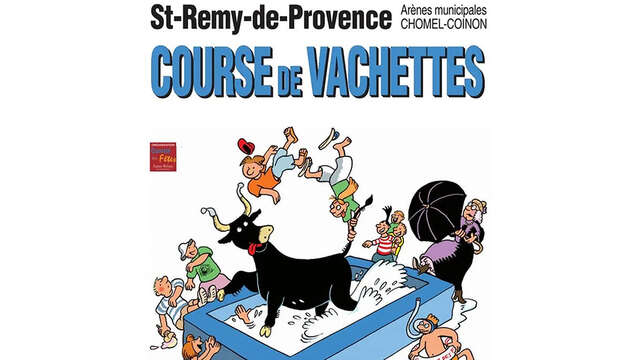 Courses de vachettes piscine - Comité des Fêtes