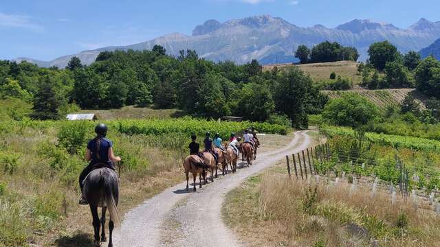 Balade à cheval pour cavaliers débutants - Alpes Cheval