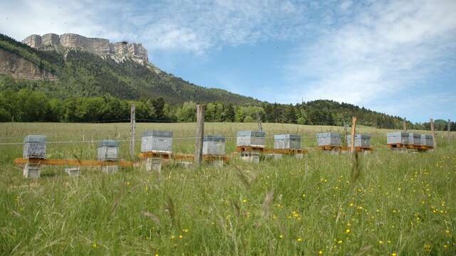 Visite de La Ferme Aux Abeilles de Chartreuse