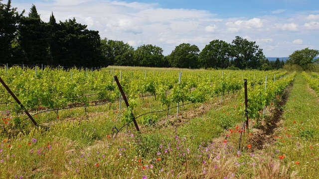 Domaine des Blaquières