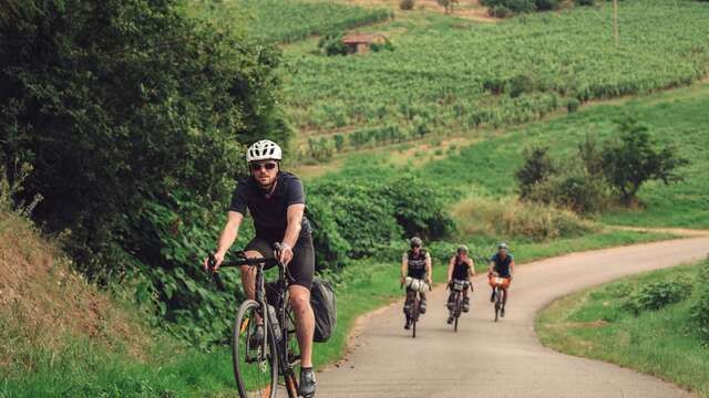 Itinéraire cyclo-sportif - Mad-Jacques Entre Véloire et route des vins