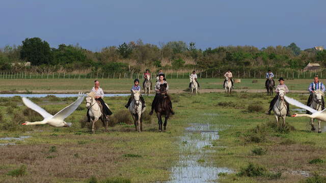 Camargue Passion Territoire