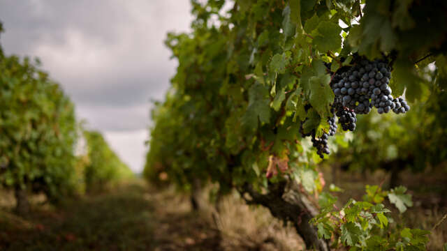 Domaine des Hauts Perrays