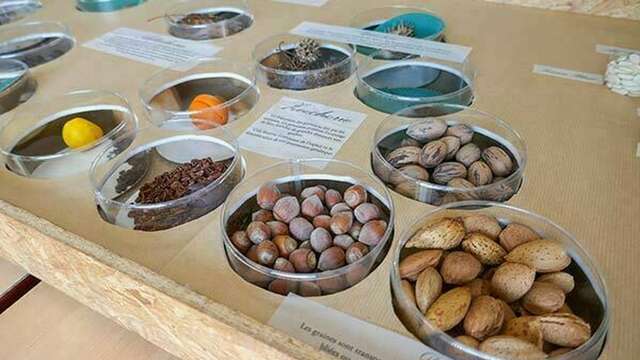 Exposition "Graines d’avenir"