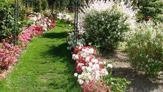 Parc Floral Les Camellias de la Prairie