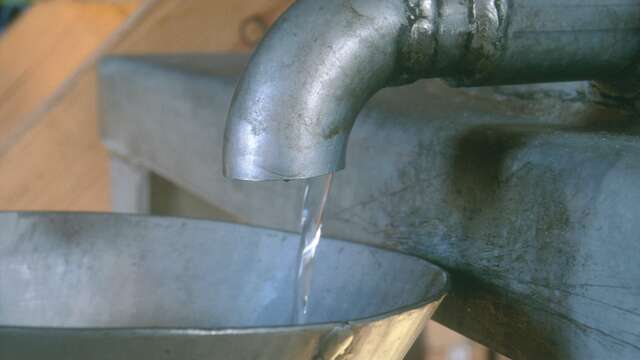 Distillerie d'huiles essentielles Abiessence