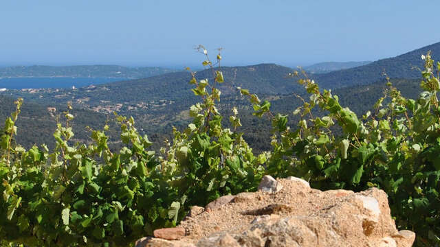 Domaine des Beaucas