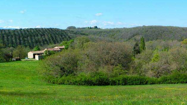 Gîte Vert