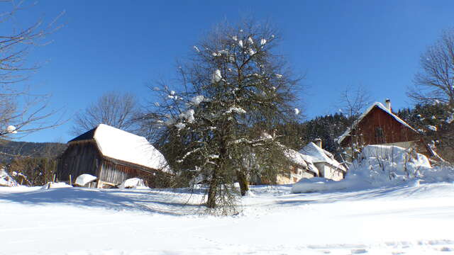 Pierre Mesure n° 2 - Itinéraire hiver