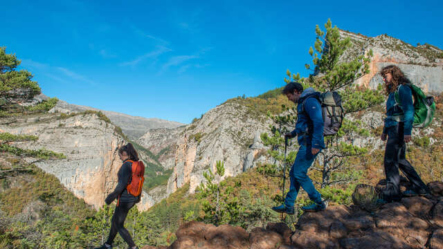 Découverte sensorielle de l'Art en Montagne - 3 jours