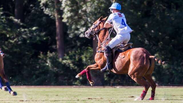 Haras de Gassin - Tournoi Spring Cup