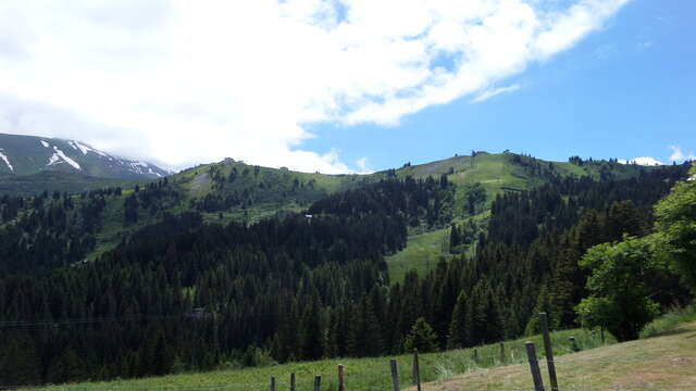 La Crête du Mont d'Arbois