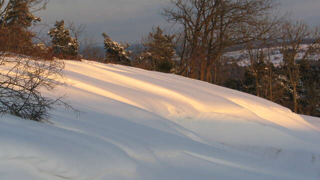 Schneeschuhwanderung "Auf den Spuren von Master Fox"