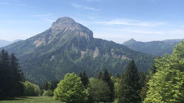 5 - Le Roc d'Arguille on trail