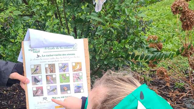 Atelier enfant : Les ornithologues en herbe