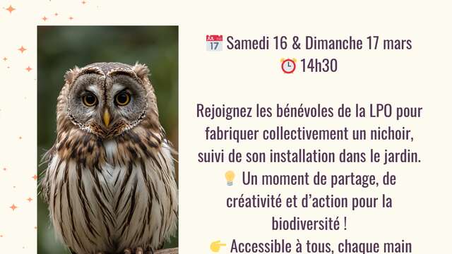 Atelier - Construction collective d’un nichoir à chouette