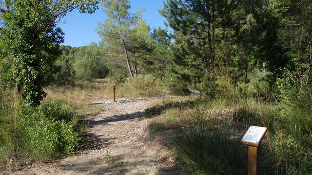 Sentier botanique des Piboules à Entrechaux