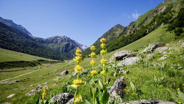 La réserve nationale de faune sauvage d'Orlu