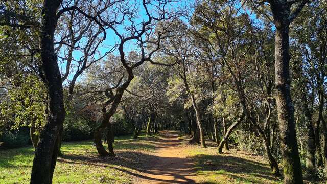 Parc de la Garenne