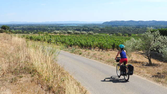 EV17 - ViaRhôna à vélo - Étape 18 - Caderousse > Avignon