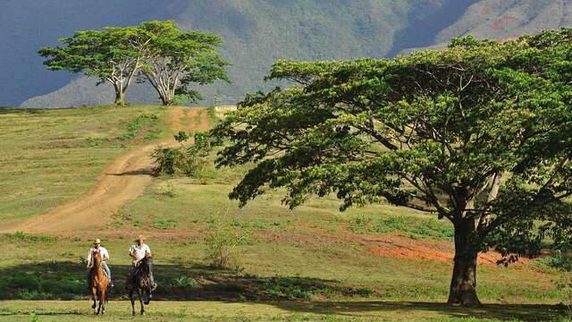 Randonnée équestre sur propriété - Yala Ranch