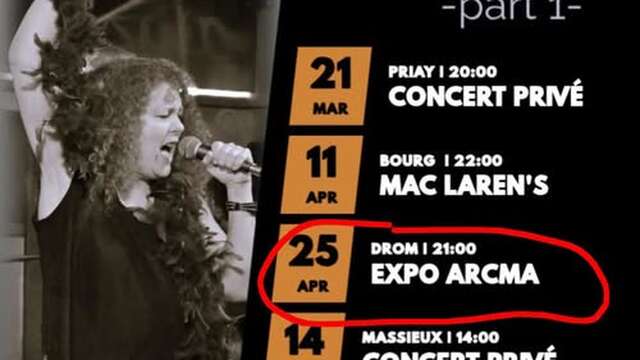 Blossom Rock band en concert