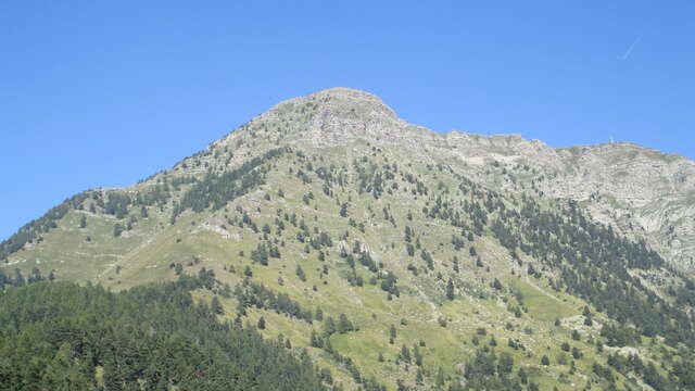 Randonnée pédestre Traversée du mont Saccarel