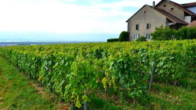 Les Chambres d'hôtes de Sylvie