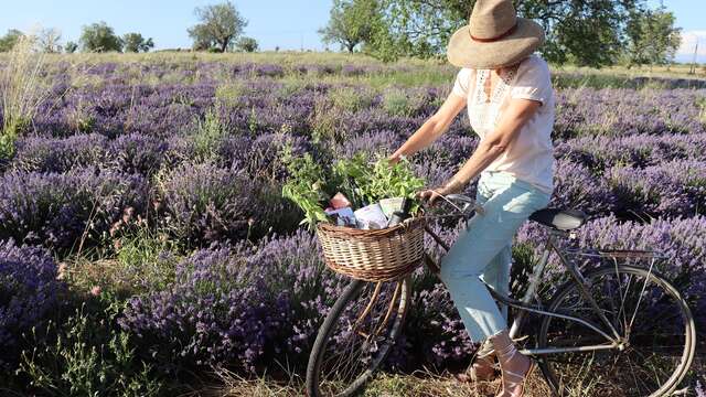 Route Saveurs & Senteurs
