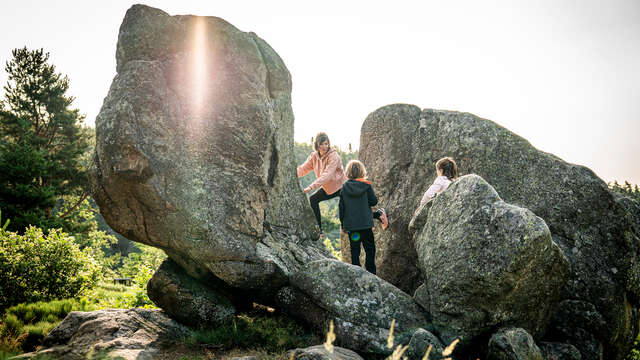 Sentier d'interprétation de la Tortue - boucle de 700m