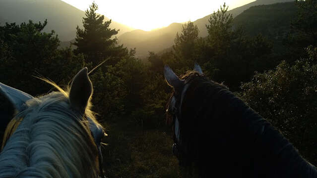 Balade à cheval, poney ou calèche