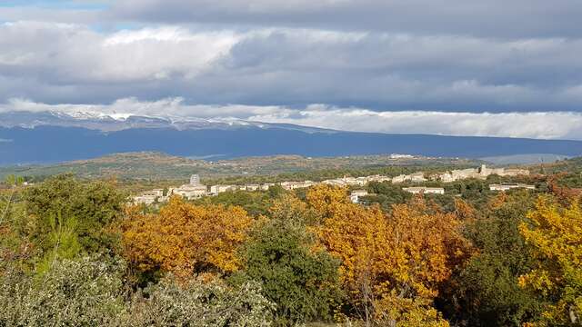Balade nature : "Couleurs des Plantes"