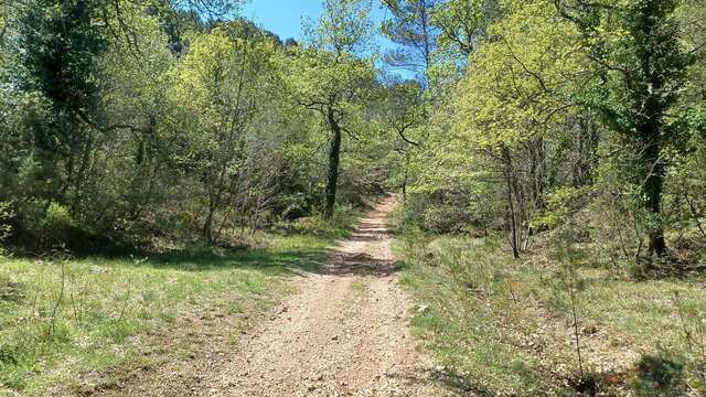 Les singles du bois de la Lare