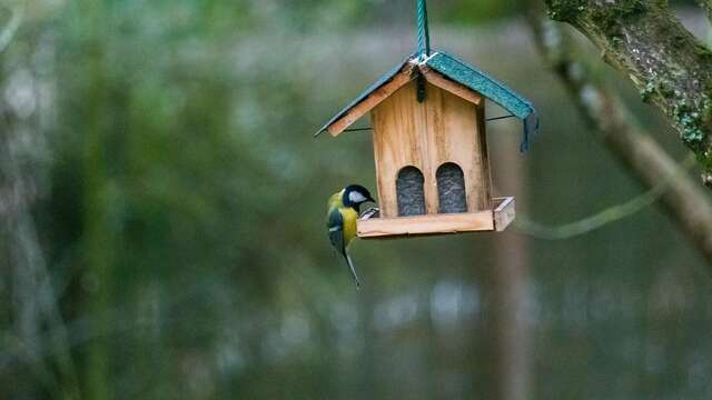 Atelier fabrication des nichoirs