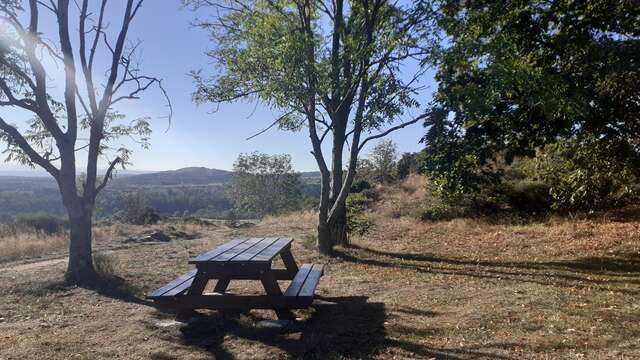 Aire de pique-nique de l'Etang de Vidrieux