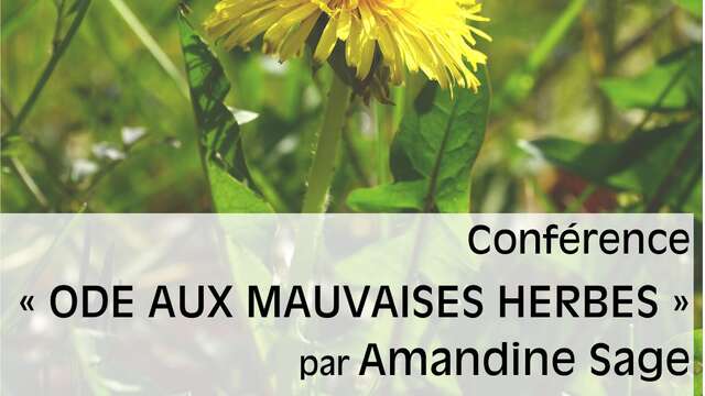 Conférence "Ode aux mauvaises herbes" par Amandine Sage