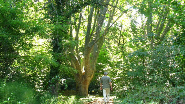 Parc de la Poudrerie Saint-Chamas - Miramas