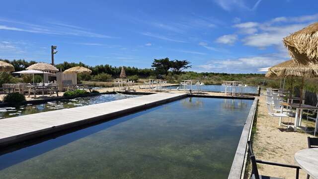 Les brunchs iodés du dimanche à L'Huitrière