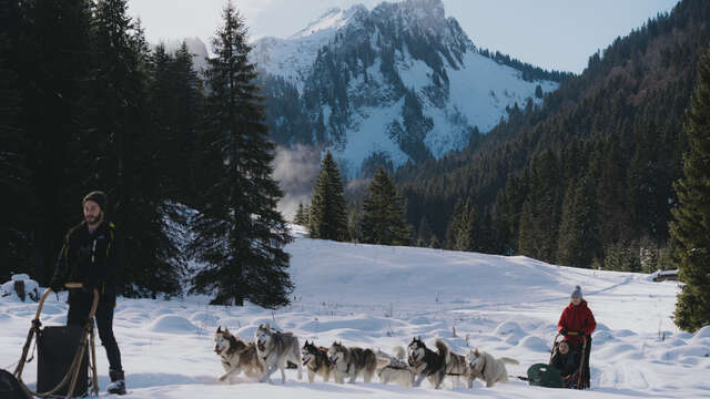 Initiation à la conduite d'attelage