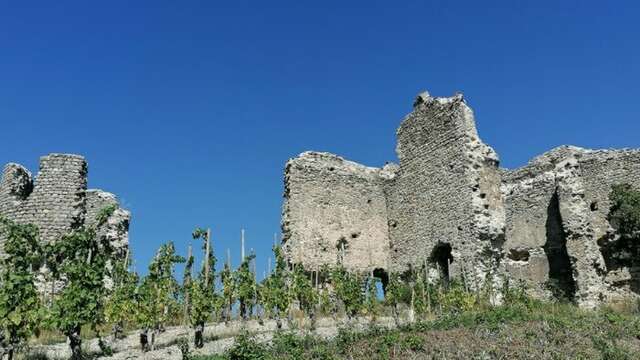Visite commentée des carrières de Kaolin - Journées Européennes du Patrimoine