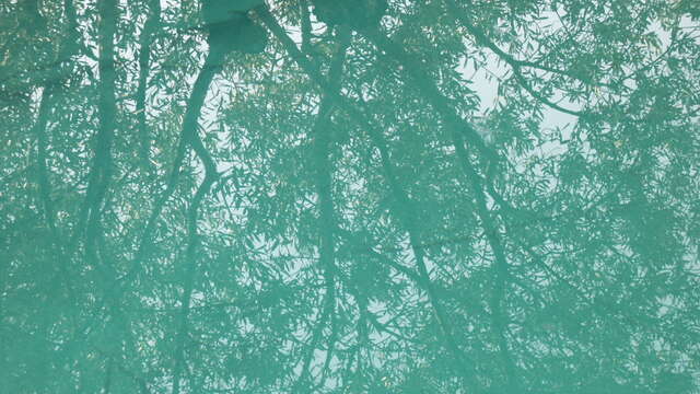 Lac de pêche de Brunet