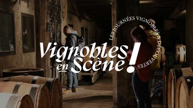 Vignobles en scène : Les Journées Vignobles & Découvertes - Vallée du Rhône Nord
