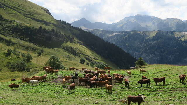 Randonnée pédestre : les Chalets de Lens